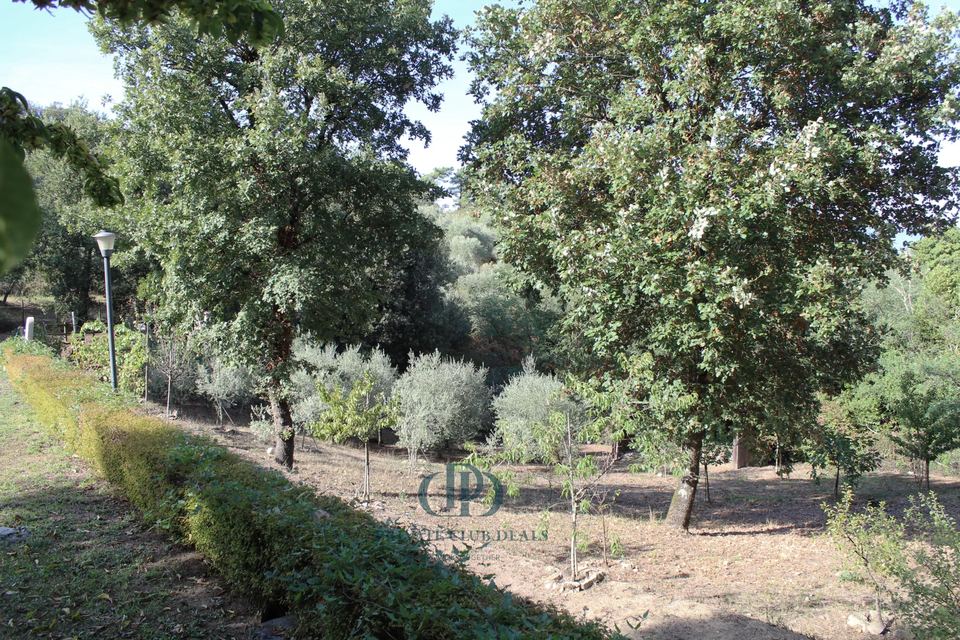Villa moderna e privata sulle colline toscane — 9